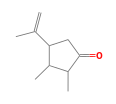 C10H16O