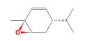 C10H16O