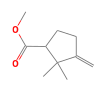 C10H16O2