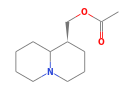 C12H21NO2