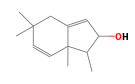 C13H20O