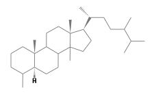 C30H54