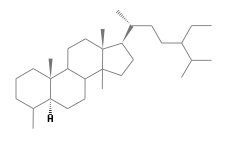 C31H56