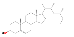 C29H50O