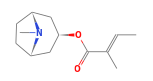 C13H21NO2