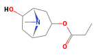 C11H19NO3