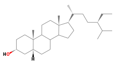 C29H52O