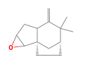 C14H20O