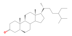 C29H50O