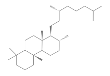 C29H54