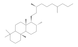 C31H58