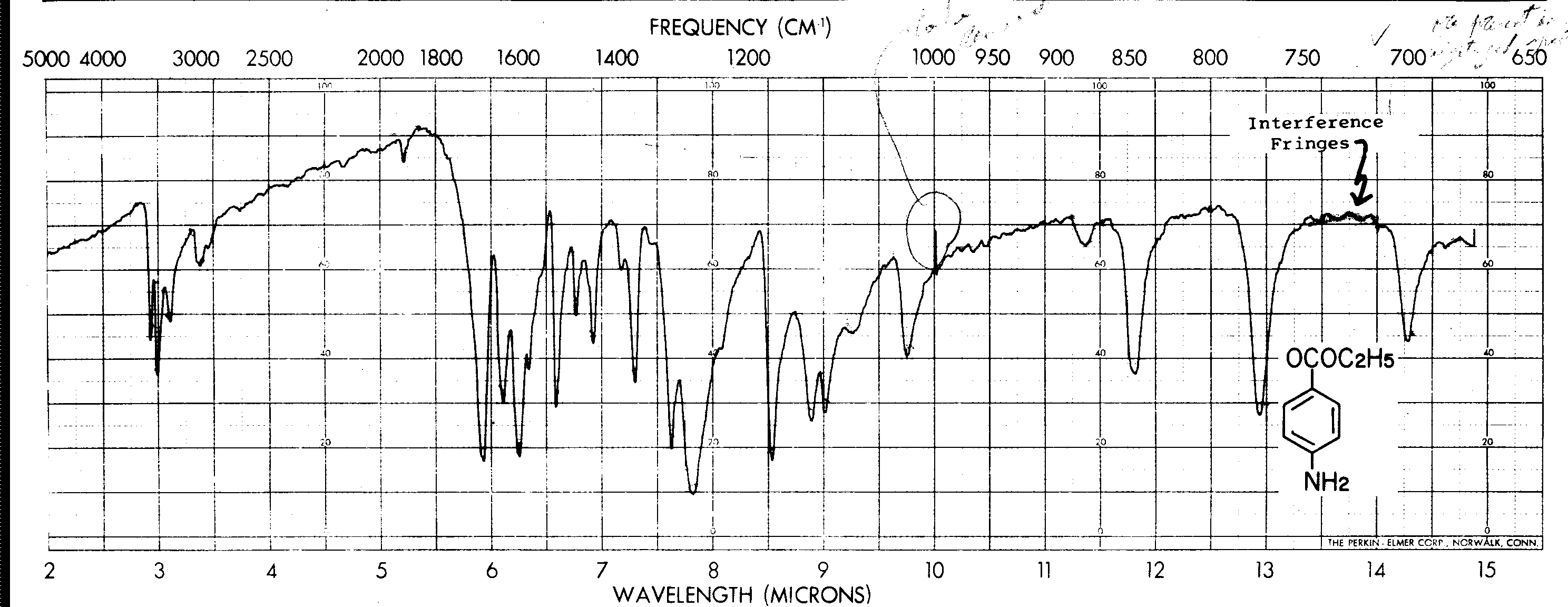 Interpret ir of benzocaine