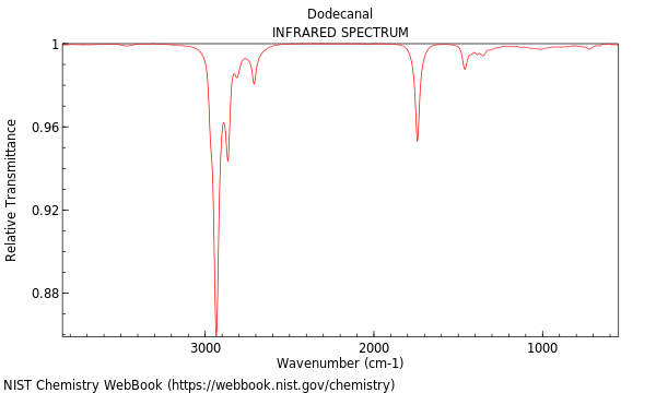 IR spectrum