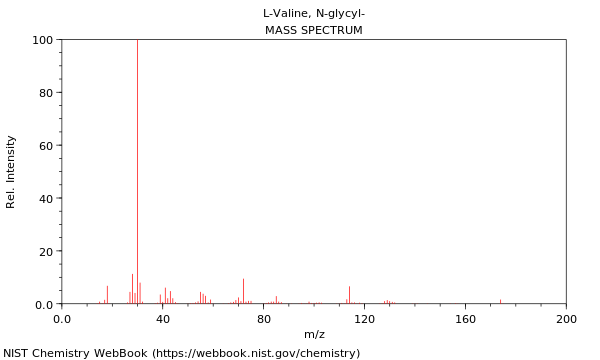 Mass spectrum