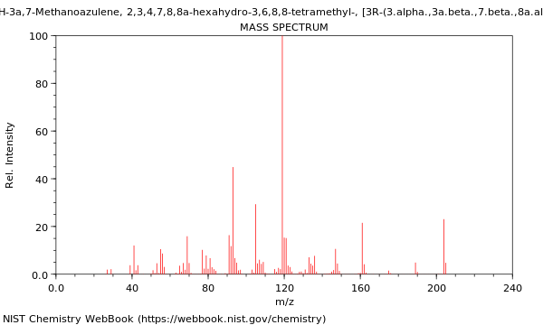 Mass spectrum