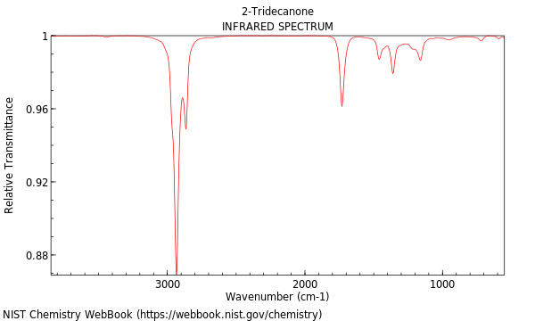 IR spectrum