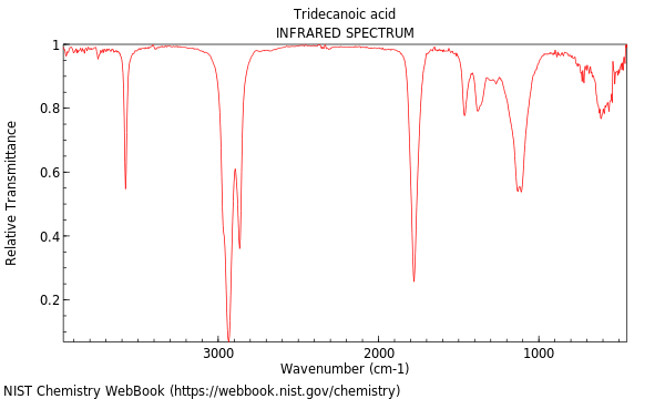 IR spectrum