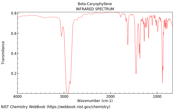 IR spectrum