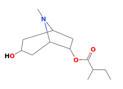 C13H23NO3