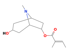 C13H21NO3