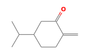 C10H16O