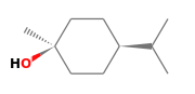 C10H20O