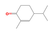 C10H16O