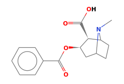 C16H19NO4