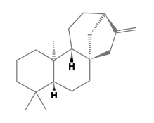 C20H32