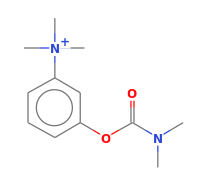 C12H19N2O2