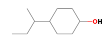 C10H20O