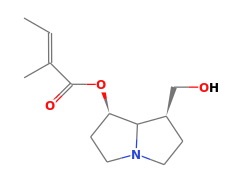 C13H21NO3