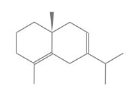 C15H24