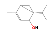 C10H16O