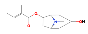 C13H21NO3