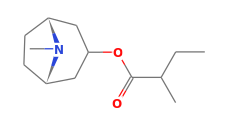 C13H23NO2