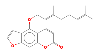 C21H22O4