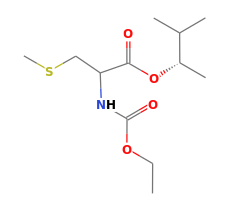 C12H23NO4S