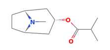 C12H21NO2