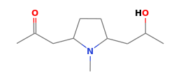 C11H21NO2