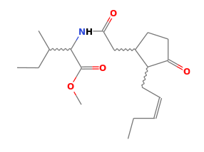 C19H31NO4