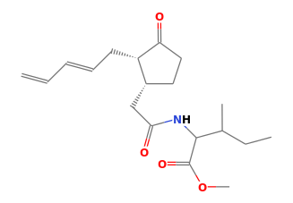 C19H29NO4