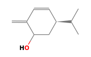 C10H16O