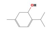 C10H16O