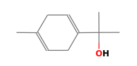 C10H16O