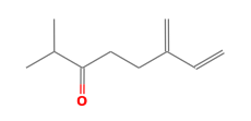 C10H16O