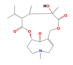 C19H29NO6
