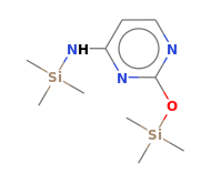 C10H21N3OSi2