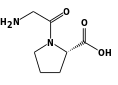 Glycyl-L-proline