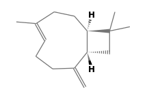 最安値 Caryophyllene テープ・マスキングテープ